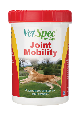Joint Mobility