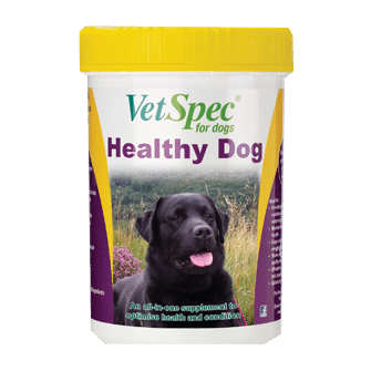 healthy dog supplement